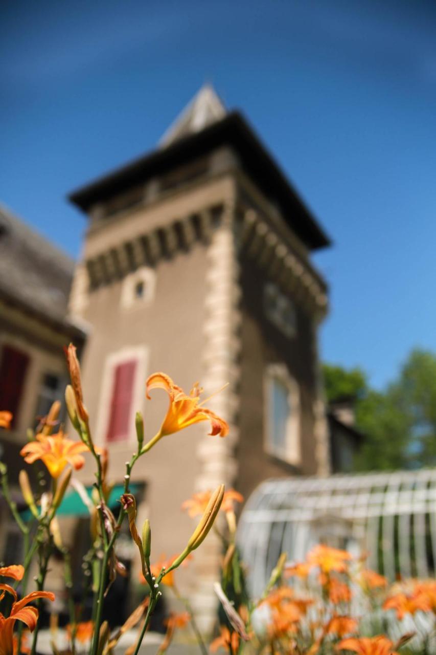 Chambres d'Hôtes Château de Viviez Exterior foto